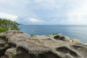 rocks sea bush