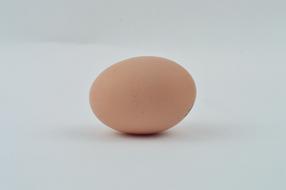orange egg on white background
