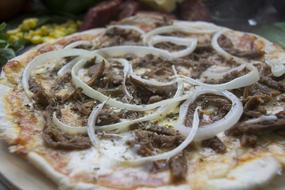 meat pizza with onions