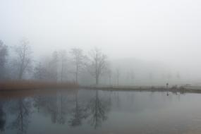 fog lake lake trees