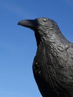 a black raven in a blue sky