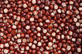 Background Chestnut brown