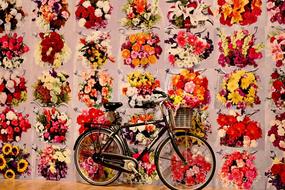wall of flowers and a Bicycle