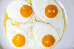 fried eggs on the table