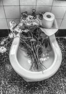 Black and white photo of the flowers in the sink and toilet paper on it