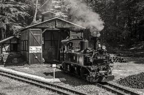 Black and white photo of the old, beautiful steam locomotive, near the building, near the trees