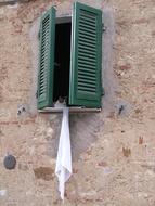 cat in the window in italy