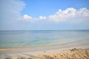 tropical sea coast