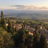 Tuscany Village trees