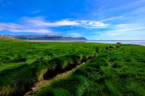 Beautiful Landscape View