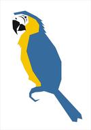 blue and yellow parrot graphic bird