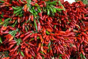 vegetables red spicy