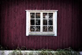 Window House violet