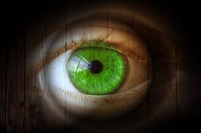 green human eye with wood grain, digital art