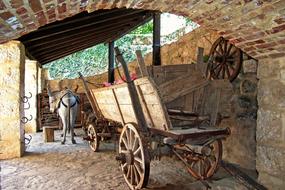 Cart Agriculture Transport