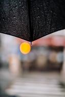 yellow leaf umbrella black