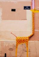 giraffe as art on the wall