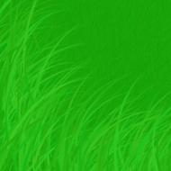 silhouette of grass on a green background