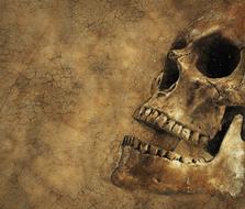 skull background texture