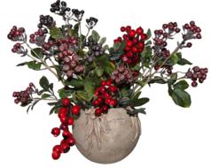 potted flowers berries