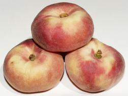 Fresh juicy peaches