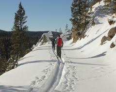 Cross Country Skiers Snow Travel