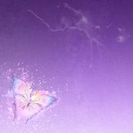 Beautiful and colorful butterfly, at beautiful, violet, gradient background, clipart