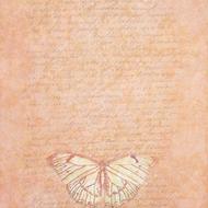 background scrapbooking paper text butterfly