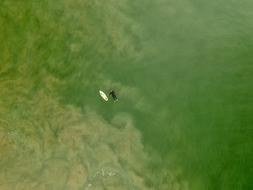Green Water person surfing