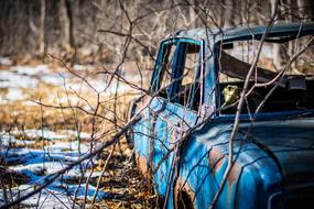 old car under the branches by the river