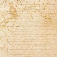 owl on branch and old letter, vintage background