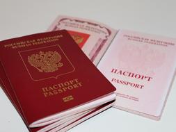 passport Russian red