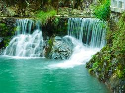 waterfall leaves