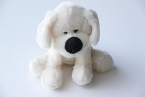 white dog as a toy