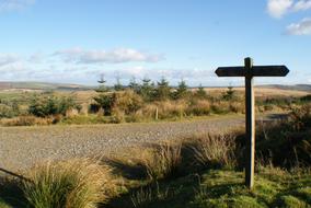 Signpost Journey road