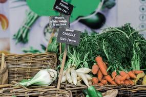 fresh tasty vegetables at the market