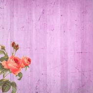 flowers on purple background scrapbooking paper