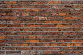 design red Bricks Wall Texture