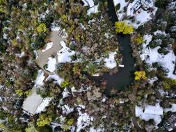 aerial view of the countryside with river and trees