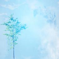 blue background scrapbooking paper