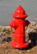perfect Fire Hydrant Red
