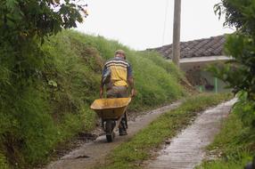 yellow cart man