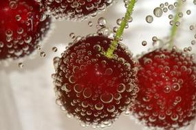 three delicious reds in the drops