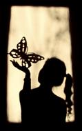 photo of Shadows of Girl and Butterfly