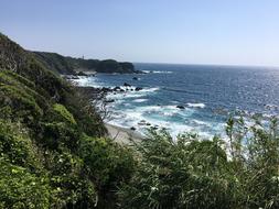 ocean trees landscape