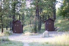 wooden cabins in the forest