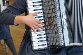 musician hands on accordion