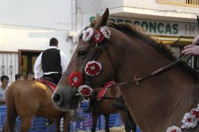 horse brown flowers