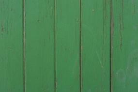 old Texture Wood Wall green