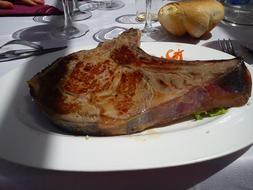 big piece of meat